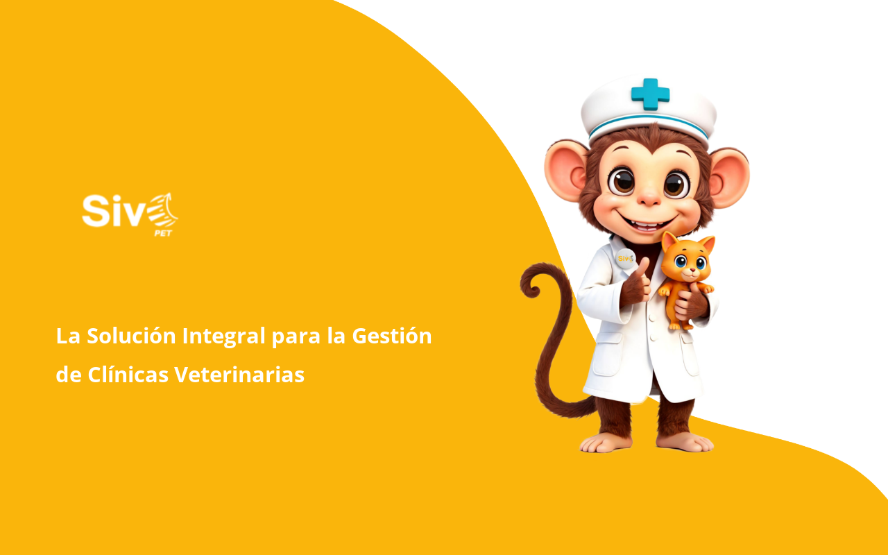 Dr Paw screenshot