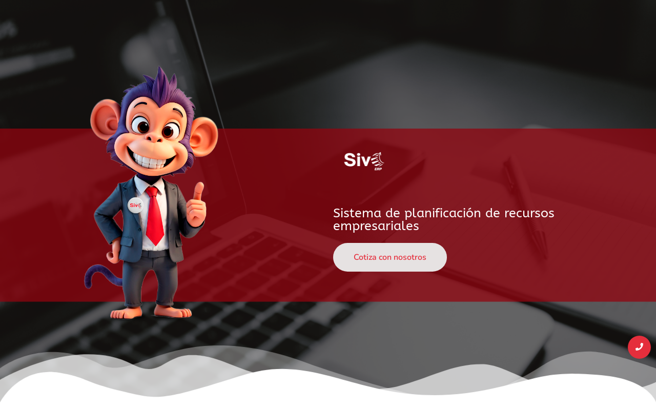 Sivo ERP screenshot